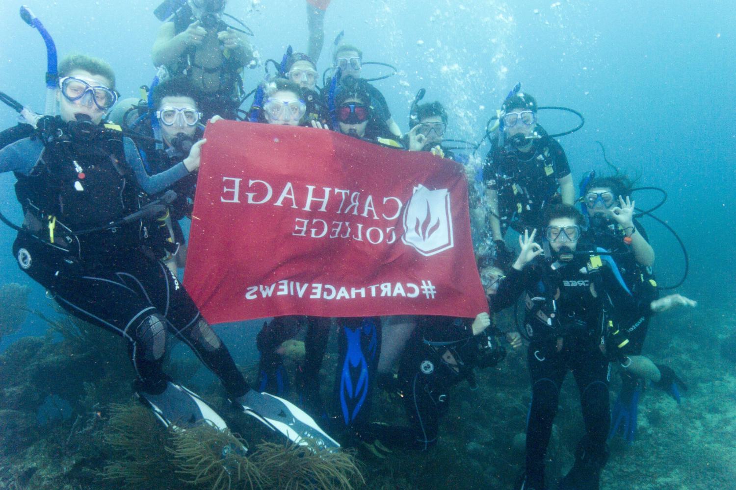 学生们手持<a href='http://vooo.ngskmc-eis.net'>博彩网址大全</a>旗帜，在j学期洪都拉斯游学之旅中潜水.
